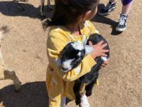granjita interactiva niños y niñas felices sembrando amor naturaleza diversion alimentar animales de rancho