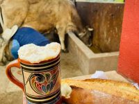pajaretes un bolillo pal susto frecso campo leche bronca ordeña vaca burra cabra chiva